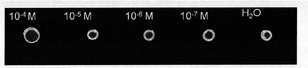 Intelligent bending double hydrogel for visual detection of heavy metal ions and preparation method and application thereof