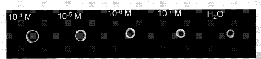 Intelligent bending double hydrogel for visual detection of heavy metal ions and preparation method and application thereof