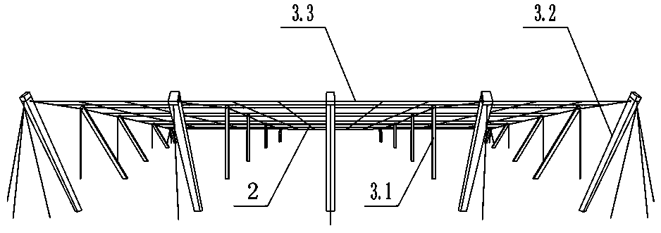 Tree shape and pruning method of pear tree with slow tree potential and fruit dropping prevention