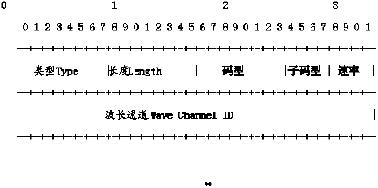 Method, apparatus and system for wavelength business information announcements