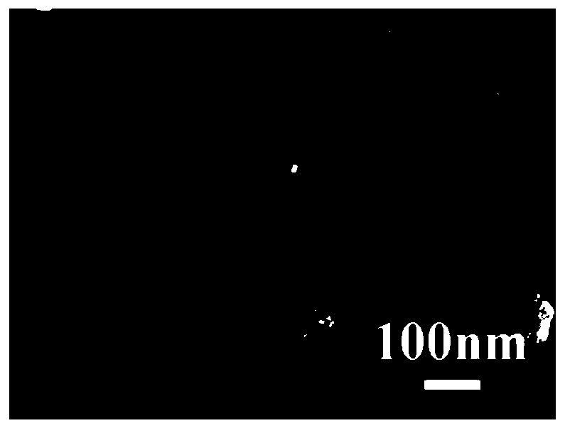 A kind of nano two-phase composite permanent magnet particle and preparation method thereof