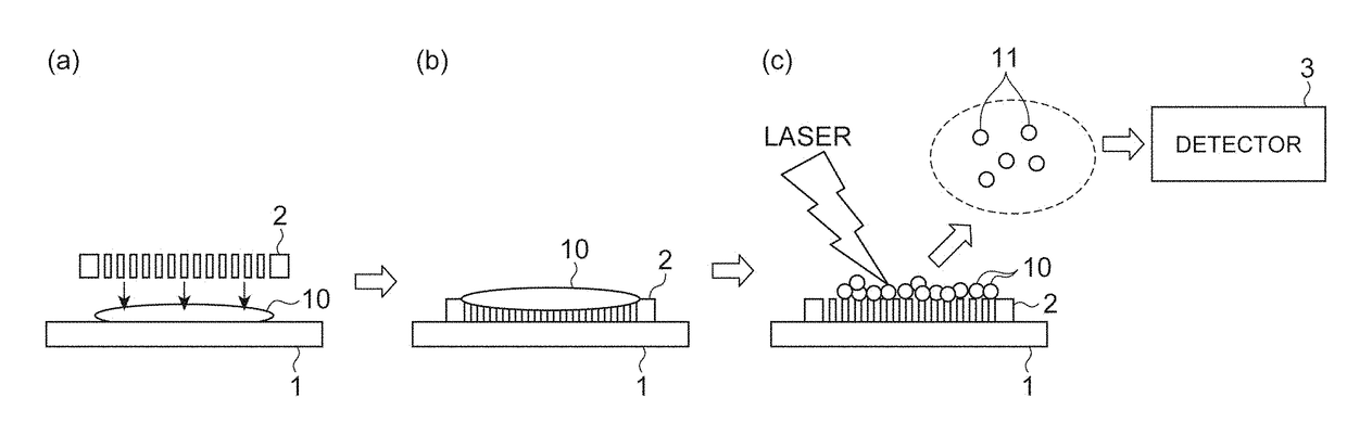 Sample supporting body and method of manufacturing sample supporting body