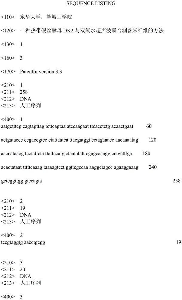 A method for preparing hemp fiber by combining Candida tropicalis dk2 strain and hydrogen peroxide ultrasonic wave