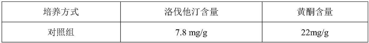 Preparation method of monascus tartary buckwheat rich in functional factors