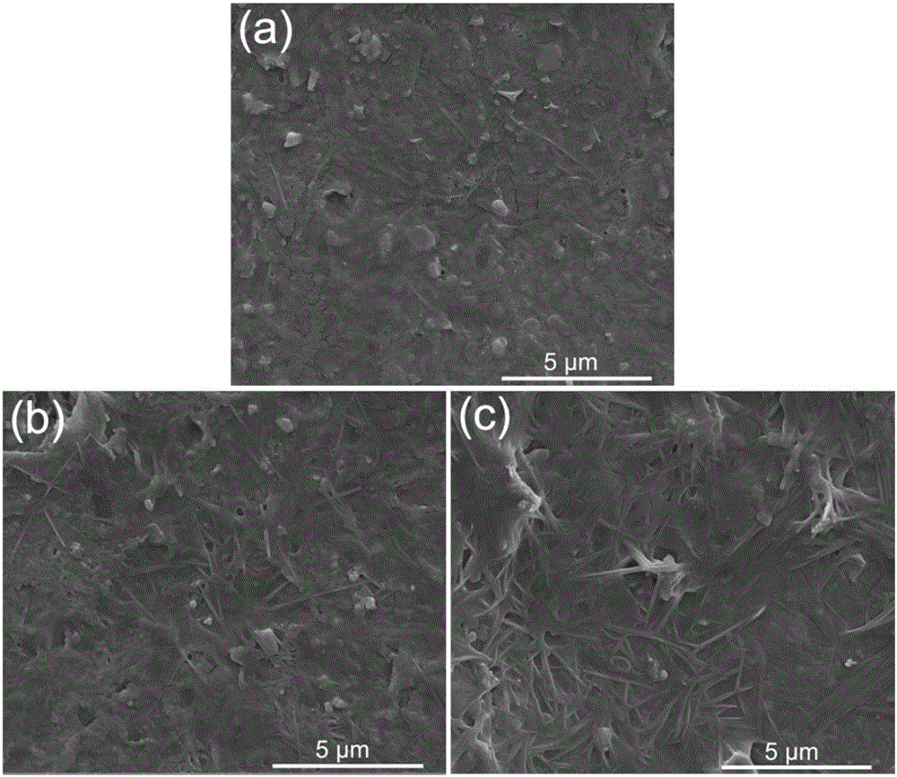 BNT-monocrystal-nanowire-based dielectric composite material and preparation method thereof