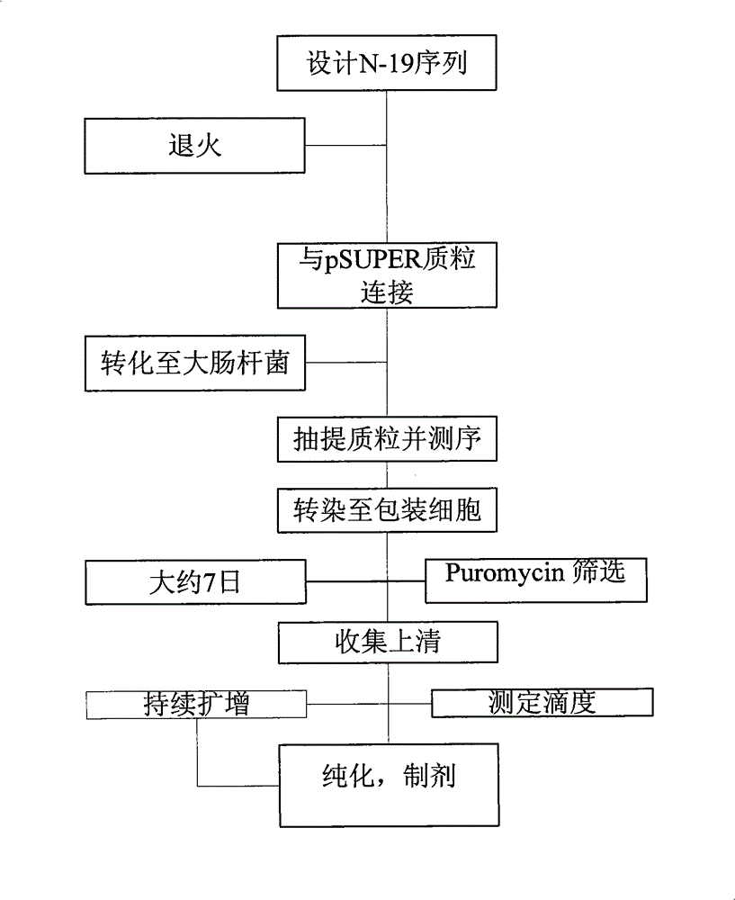 siRNA recombinant slow virus for inhibiting human hephaestin gene expression and application