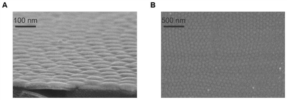 Tungsten oxide-based memristor embedded with Ti or Al nano island array and preparation method of tungsten oxide-based memristor