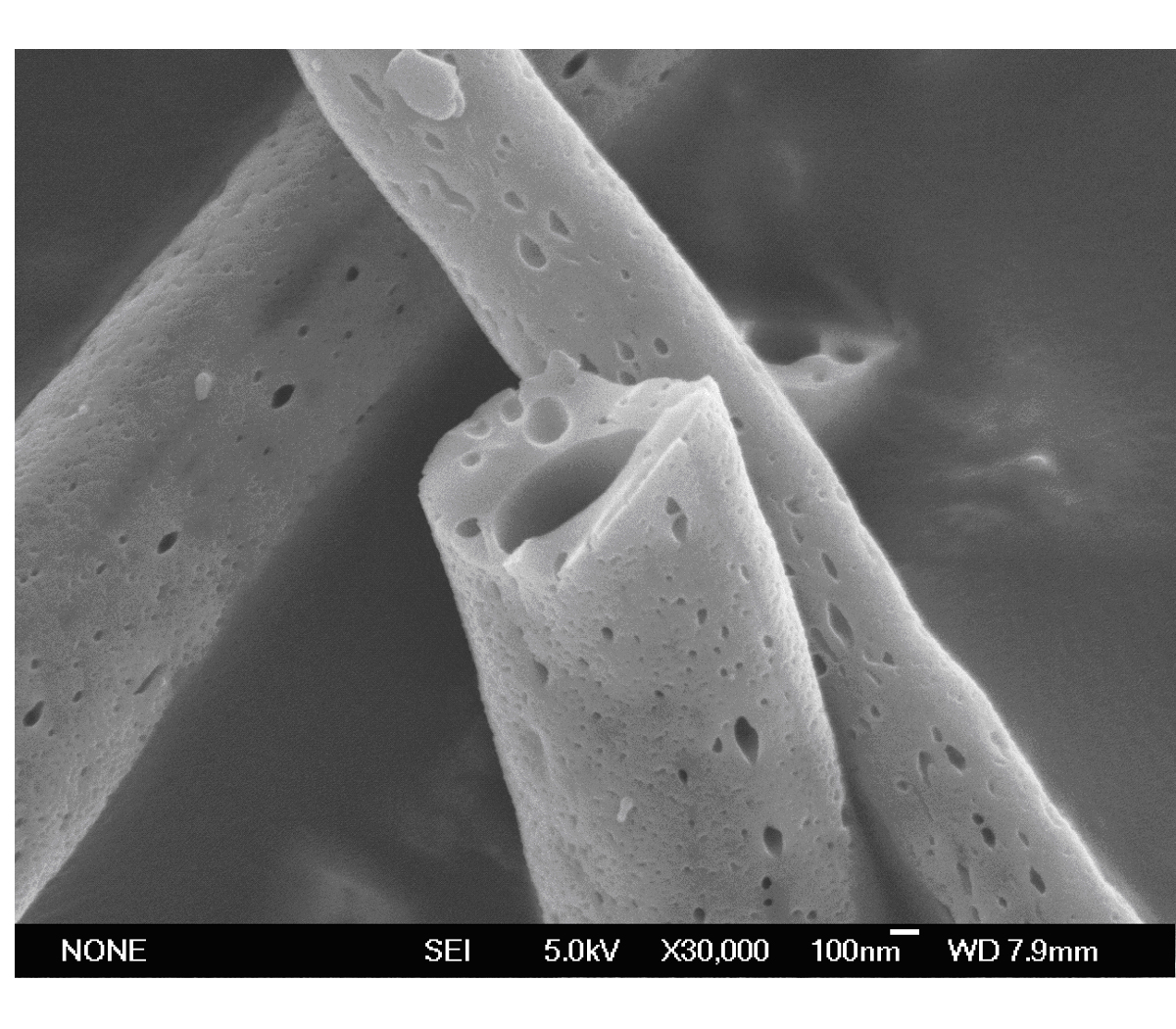 Porous silicon carbide fibers and preparation method thereof