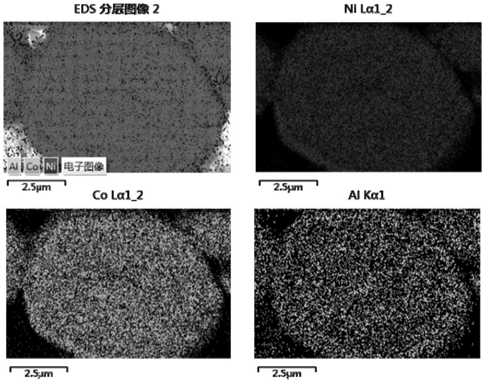 Preparation method of spherical nickel-cobalt-aluminum hydroxide precursor