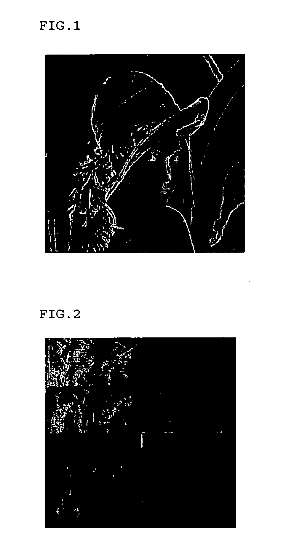 Method for coding and decoding moving image