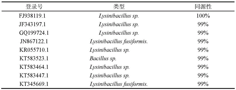 Lysinibacillus sp. and application thereof, degumming auxiliary containing lysinibacillus sp. and preparation method of degumming auxiliary