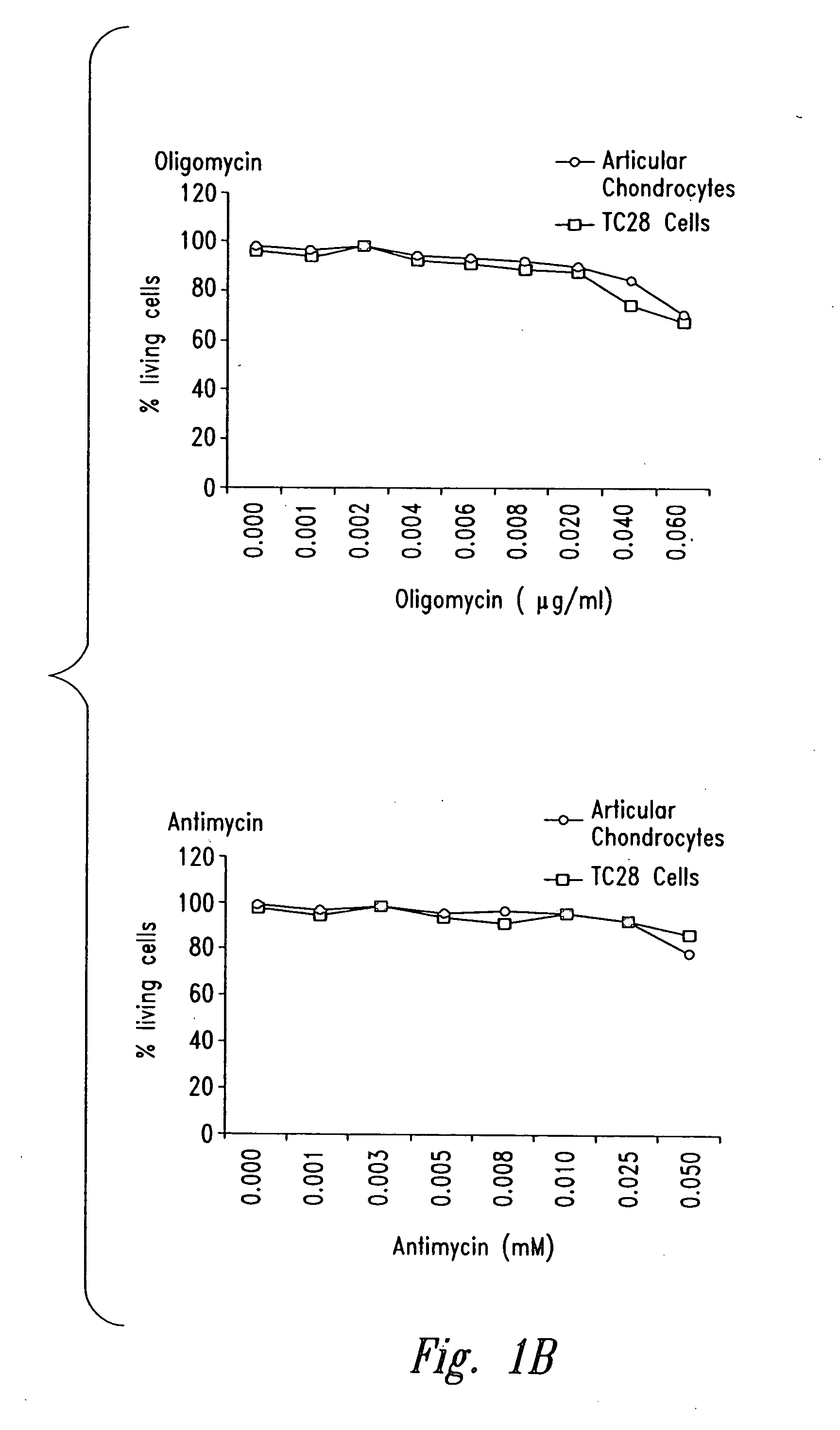 Methods and compositions for diagnosing and treating arthritic disorders and regulating bone mass