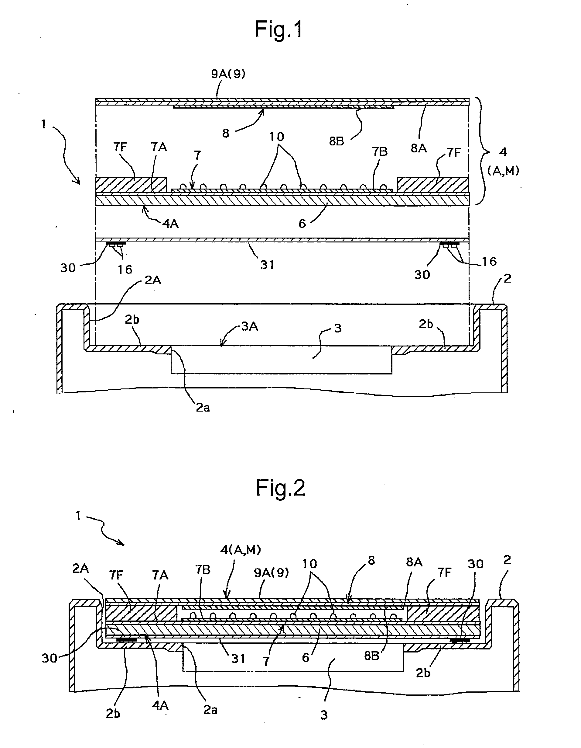 Electronic Device Having Protection Panel