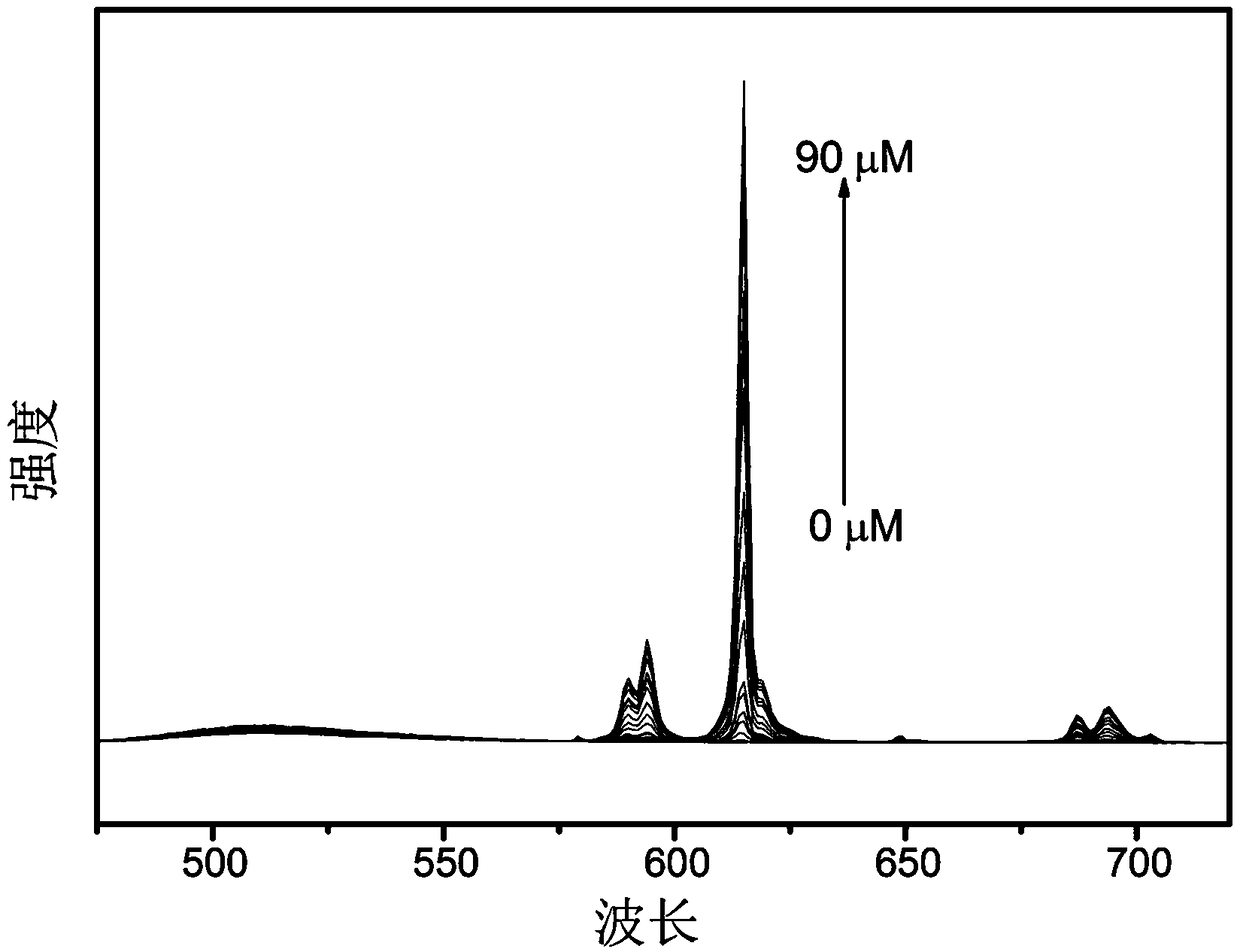 Water solution for efficiently detecting Bacillus anthraci marker pyridine-2,6-dicarboxylic acid as well as preparation method and application of water solution