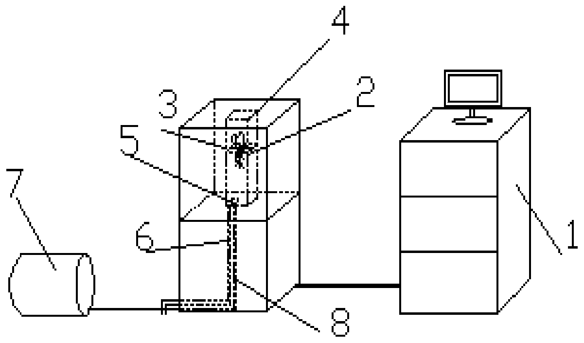 Root droplet attachment area detection device and method based on low-field nuclear magnetic resonance and optical fiber detection