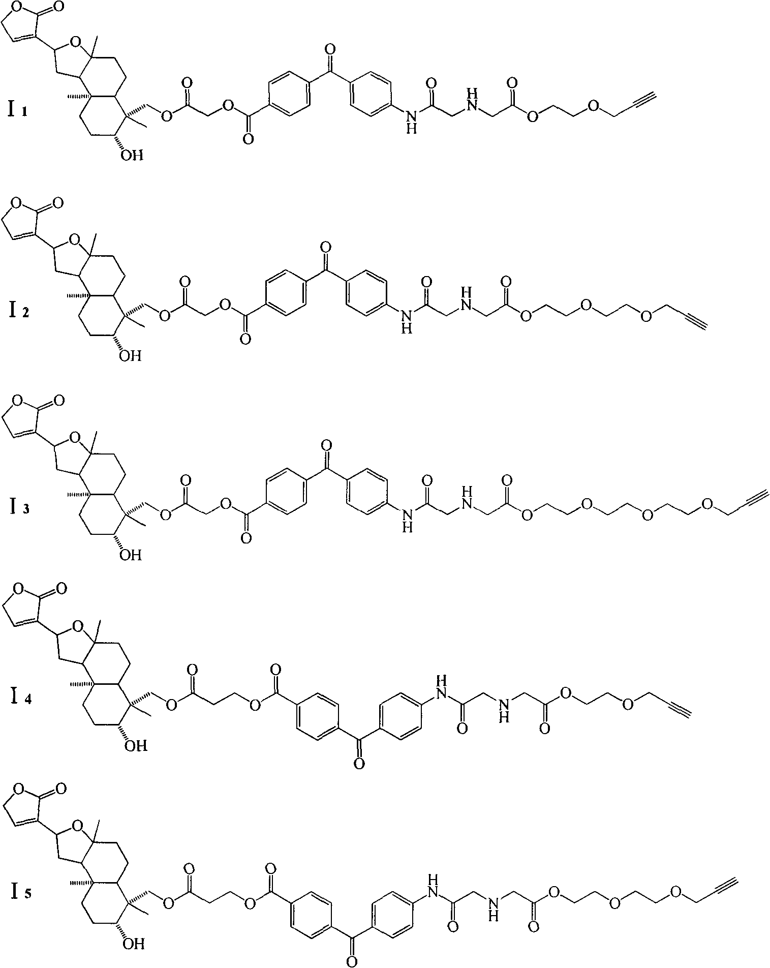 Isoandrographolide photoaffinity labeling molecular probe, preparation method and pharmaceutical composition of molecular probe