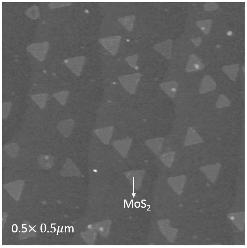 A method for preparing molybdenum sulfide two-dimensional material using mocvd equipment