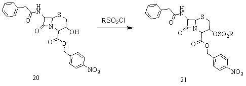 Method for preparing 7-amino-3-nor-3-cephalo-4-carboxylic acid