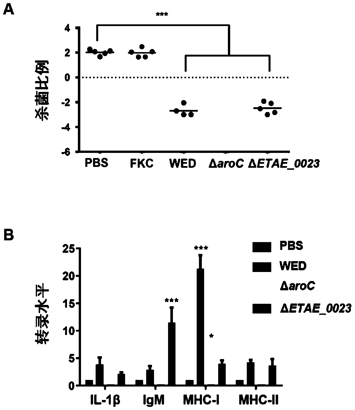 Novel Edwardsiella attenuated target and application thereof