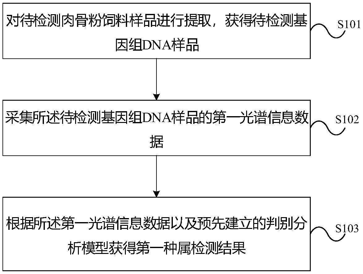 Method and system for detecting meat and bone meal species on basis of infrared spectrum of genomic DNA