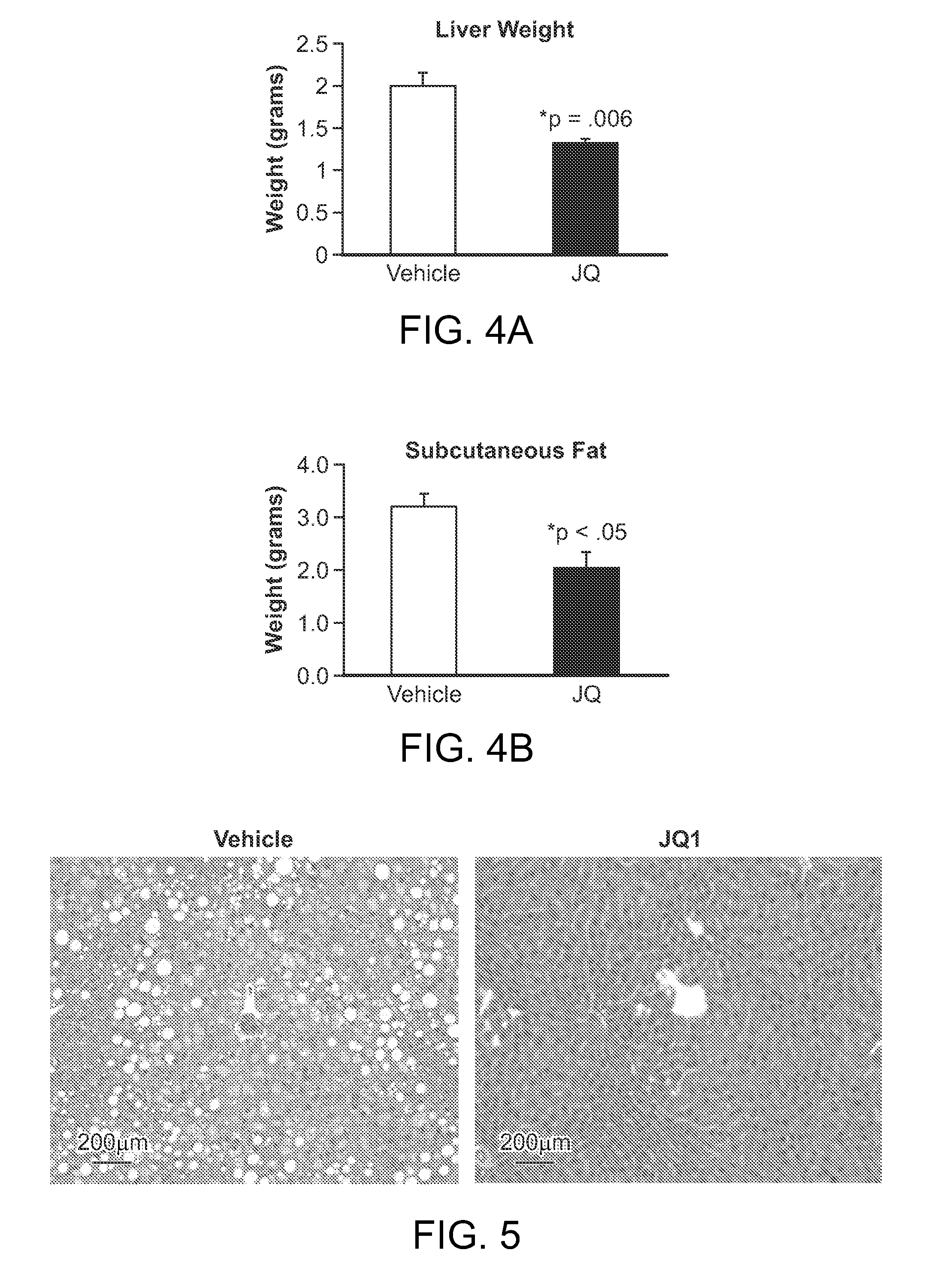 Compositions and methods for modulating metabolism