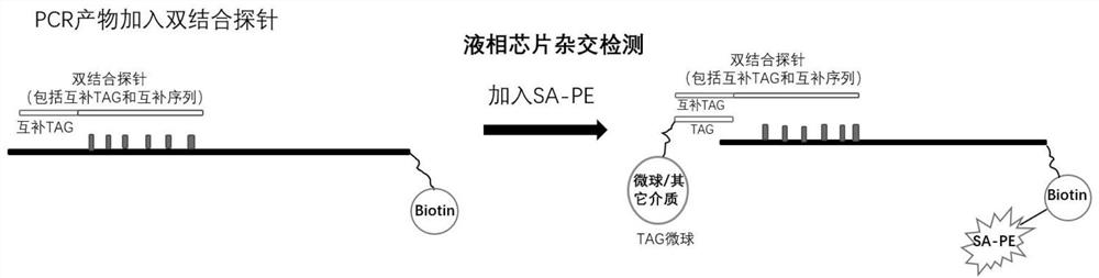 Method and kit for detecting tick pathogen nucleic acid based on suspension array