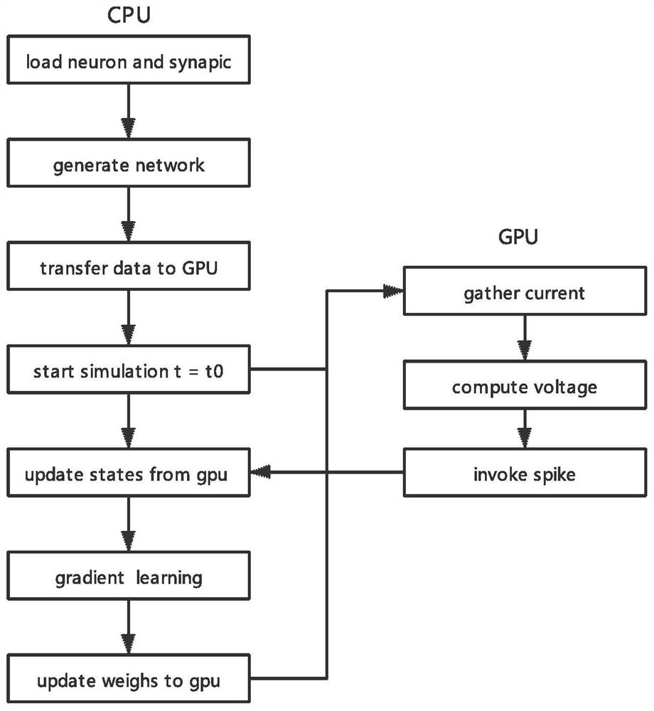Pulse neural network simulation method based on GPU