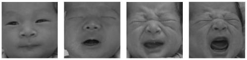 Newborn pain expression recognition method based on dual-channel feature deep learning