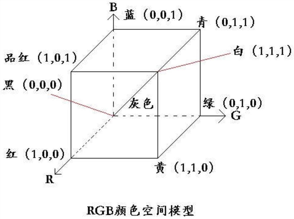 Greenhouse Chinese cabbage pest type detection method