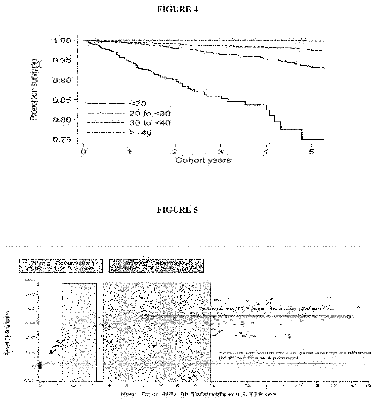 Methodologies and methods for measuring higher molecular weight transthyretin or equivalents as a clinical biomarker