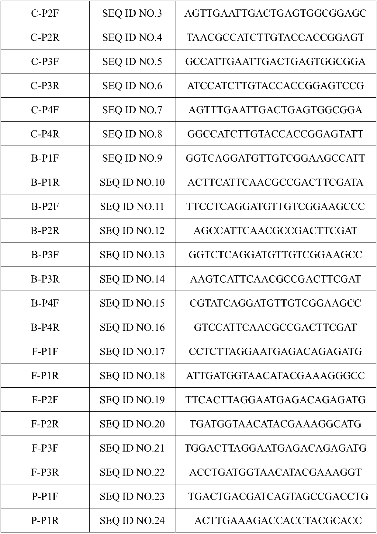 Primer compound for identifying intestinal microecological state and application thereof