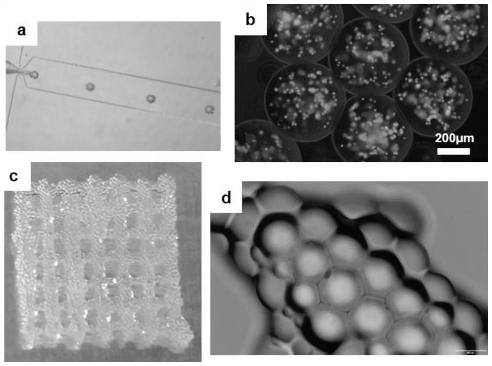 Multi-stage suspension printing method for constructing complex heterogeneous tissue/organ