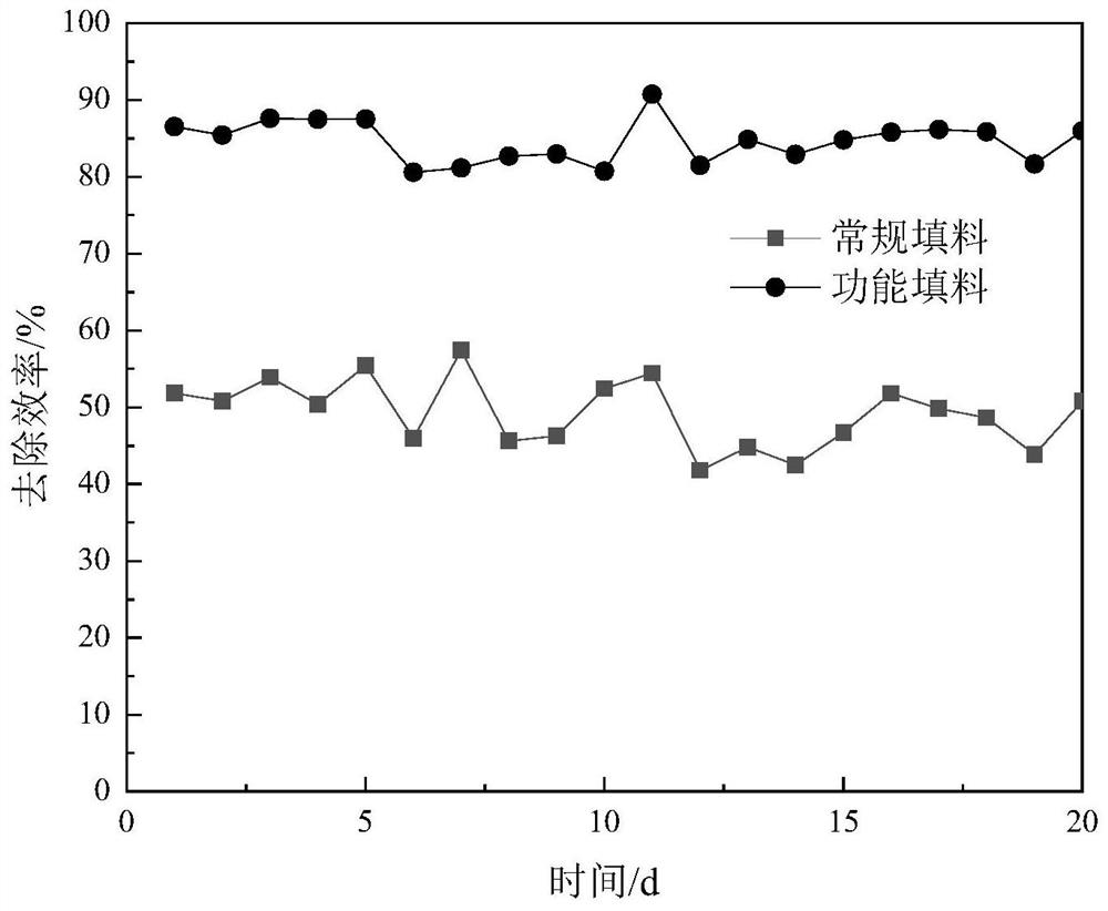 A kind of denitrification functional packing and its preparation and application