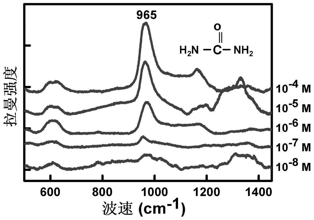 Environmental pollutant detection method based on three-dimensional micro-nano structure-enhanced Raman spectroscopy