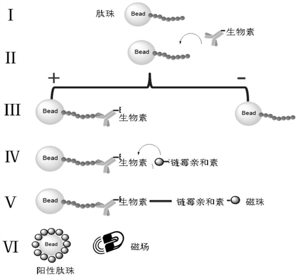 A kind of polypeptide targeting PD-L1 and its preparation method and application