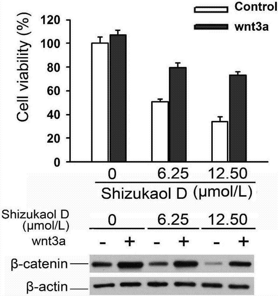 Application of shizukaol D in preparing anti-tumor target medicines