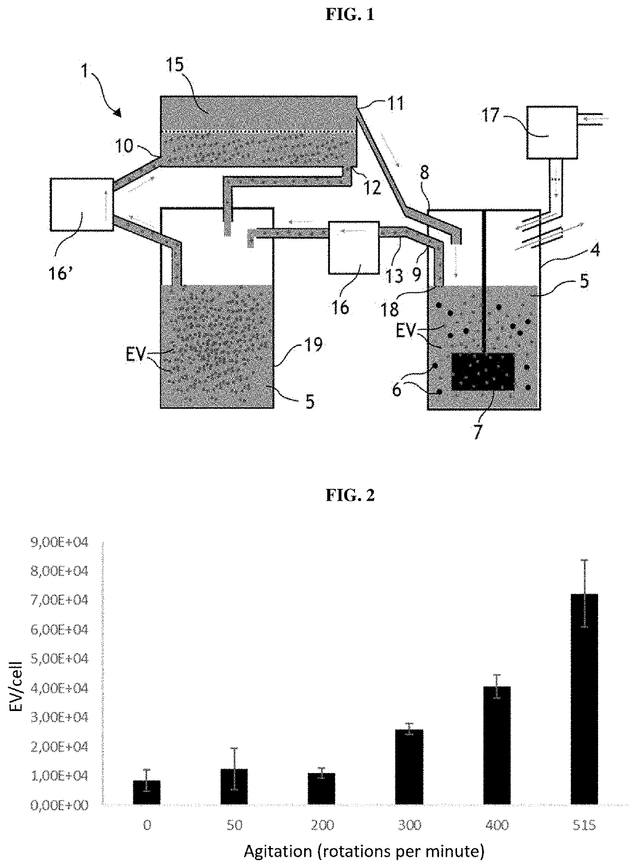 Fluidic system for producing extracellular vesicles and associated method