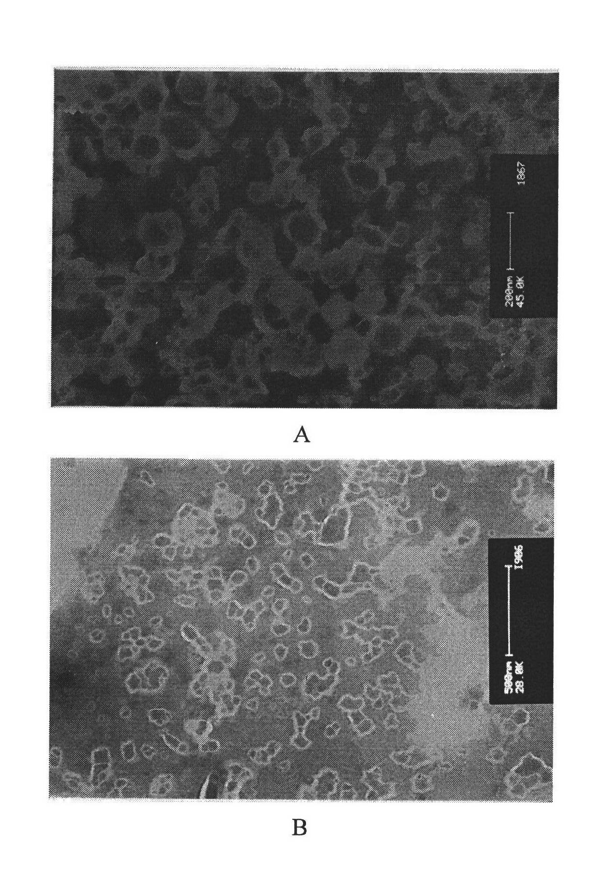 Flexible nanoliposomes with charges for cosmetics and preparation method thereof