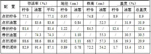 A method for planting sand-fixing plants in arid sandy areas