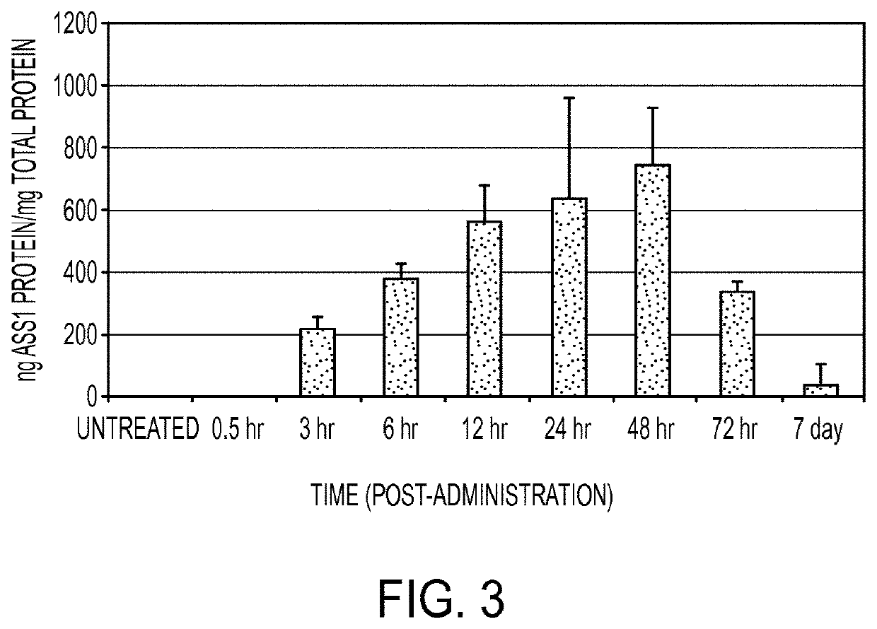 mRNA therapy for argininosuccinate synthetase deficiency