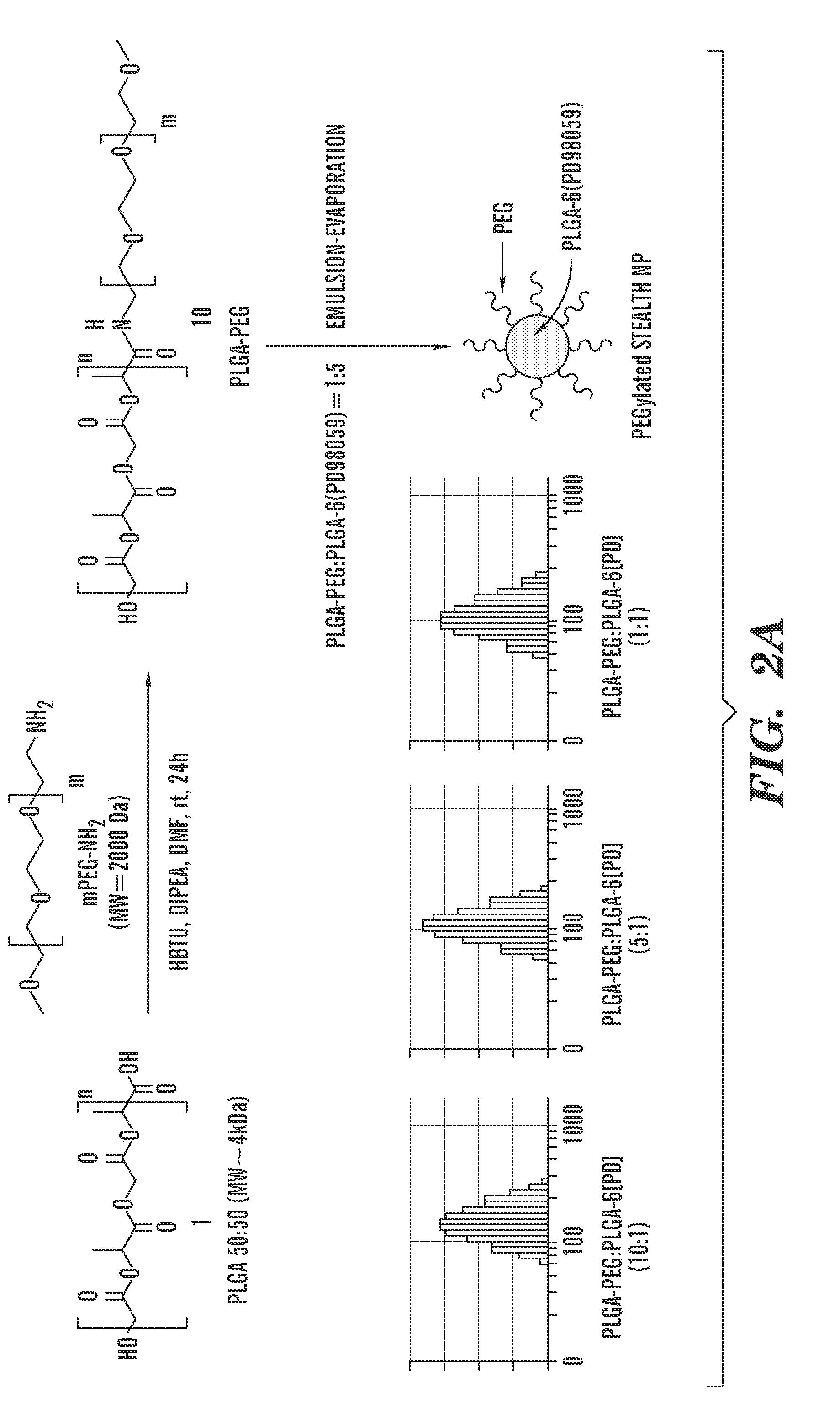 Polymeric nanoparticles with enhanced drug-loading and methods of use thereof
