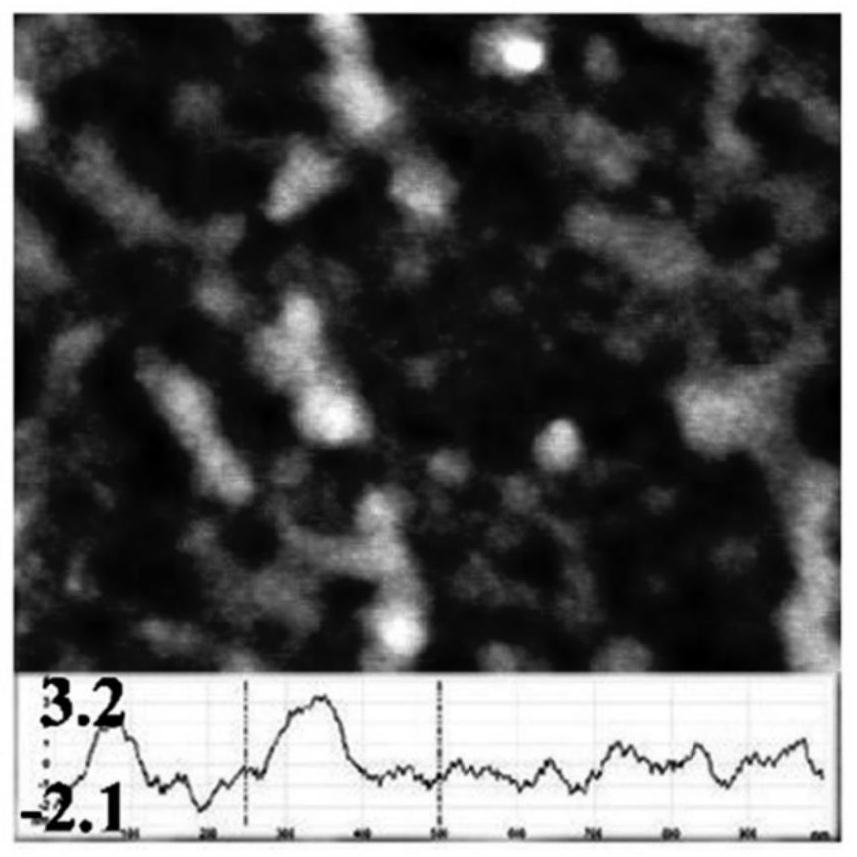 Polypeptide monolayer film with primary amino group exposure of 7%, its preparation method and application