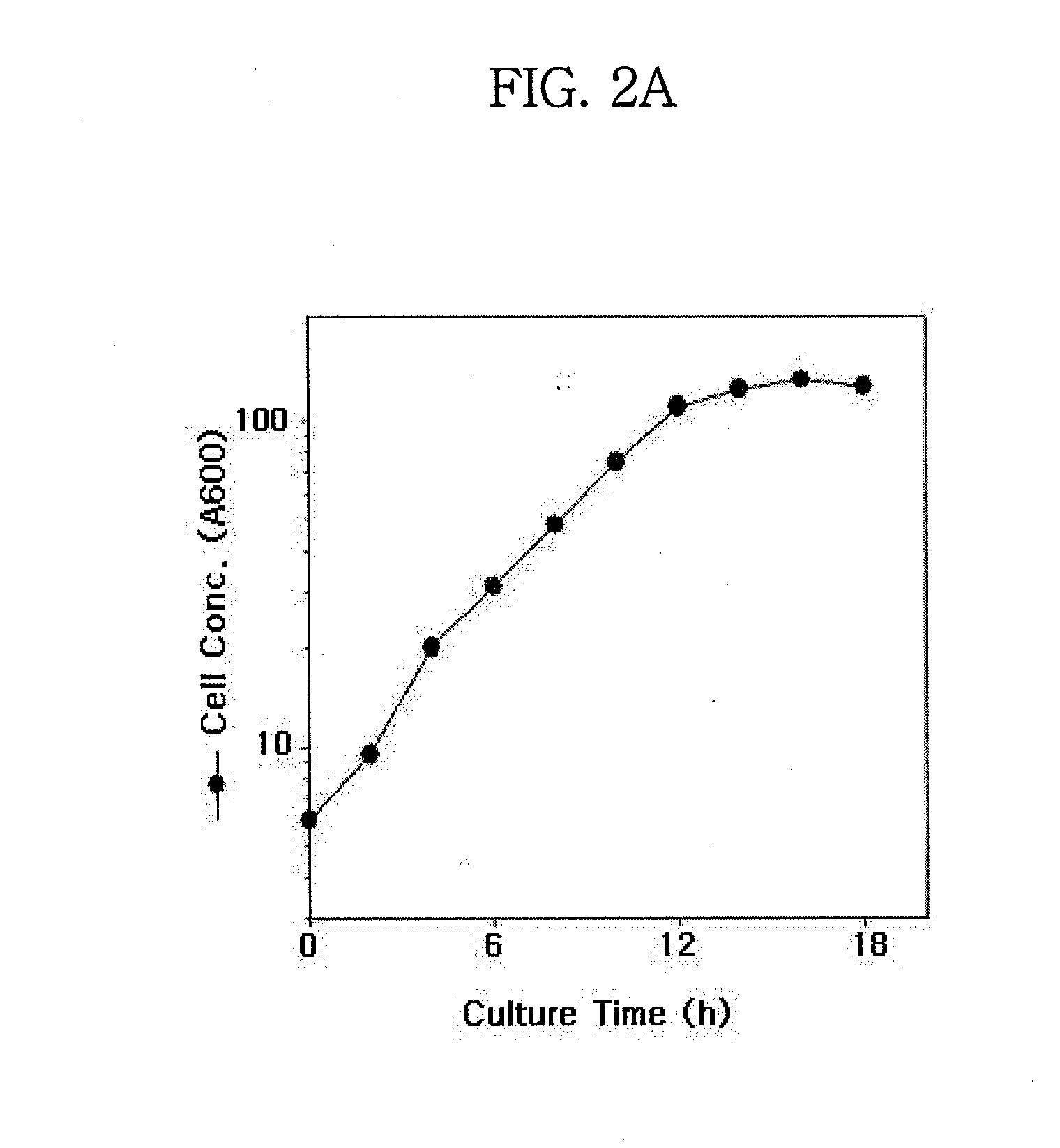 Translational Elongation Factor Promoter From Pichia Pastoris And Method For Producing Recombinant Protein Using The Same