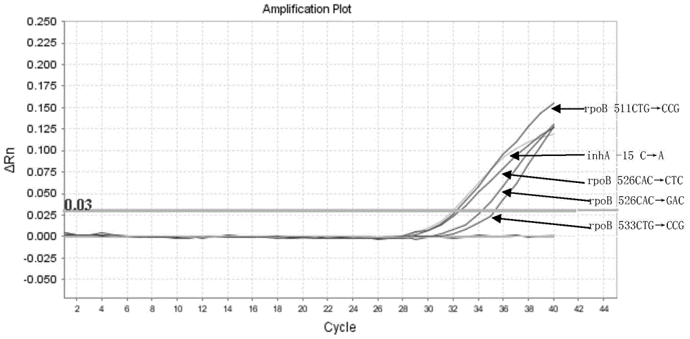 Kit for detecting mycobacterium tuberculosis drug resistance gene and application of kit