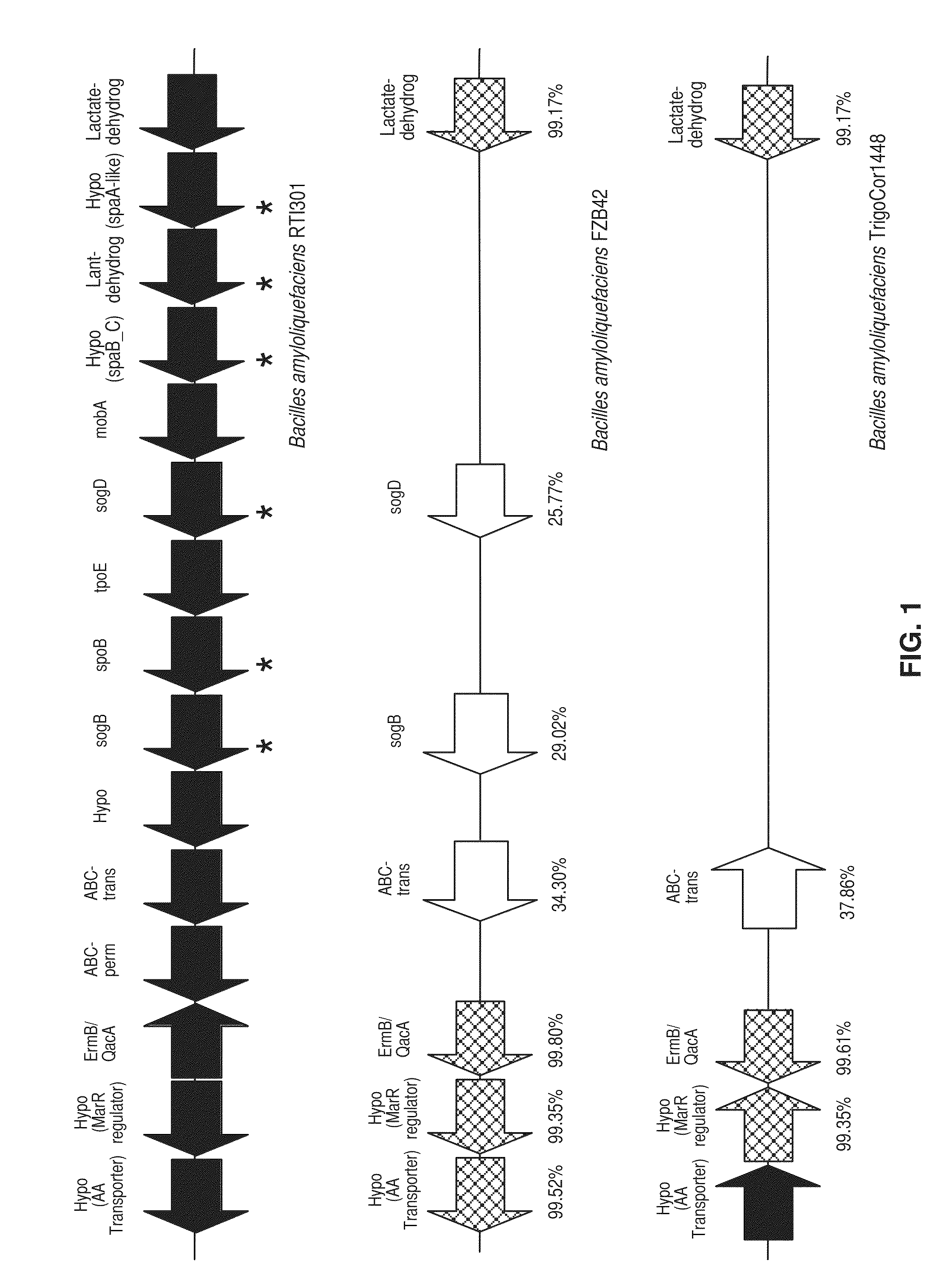 Bacillus amyloliquefaciens rti301 compositions and methods of use for benefiting plant growth and treating plant disease