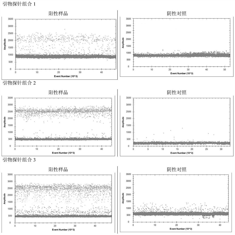 Novel coronavirus detection primer probe combination and kit and application thereof