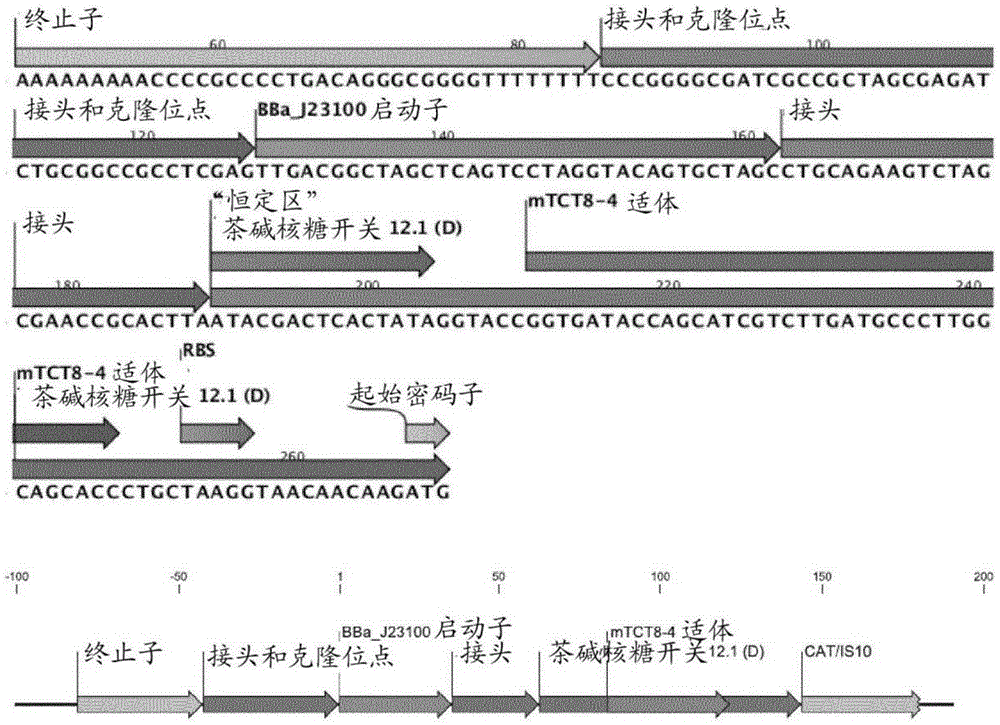 Regulatable gene expression