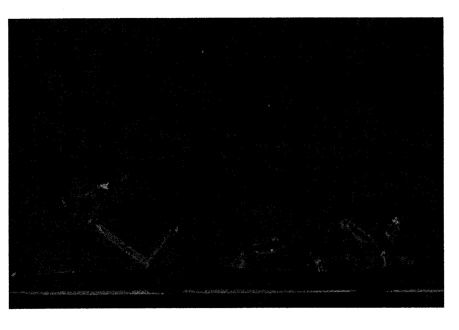 Method for preparing nano-titanium dioxide chitosan composite membrane by using double dispersing agents