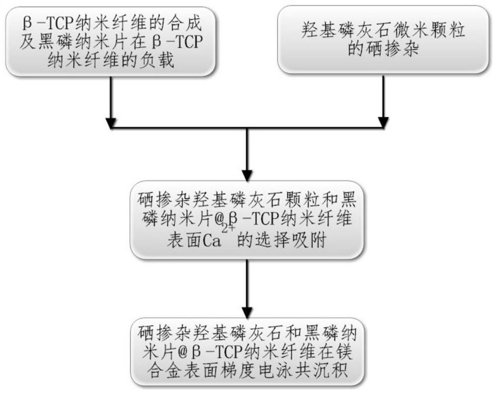 Preparation method of photothermal anti-bone tumor coating on magnesium alloy surface