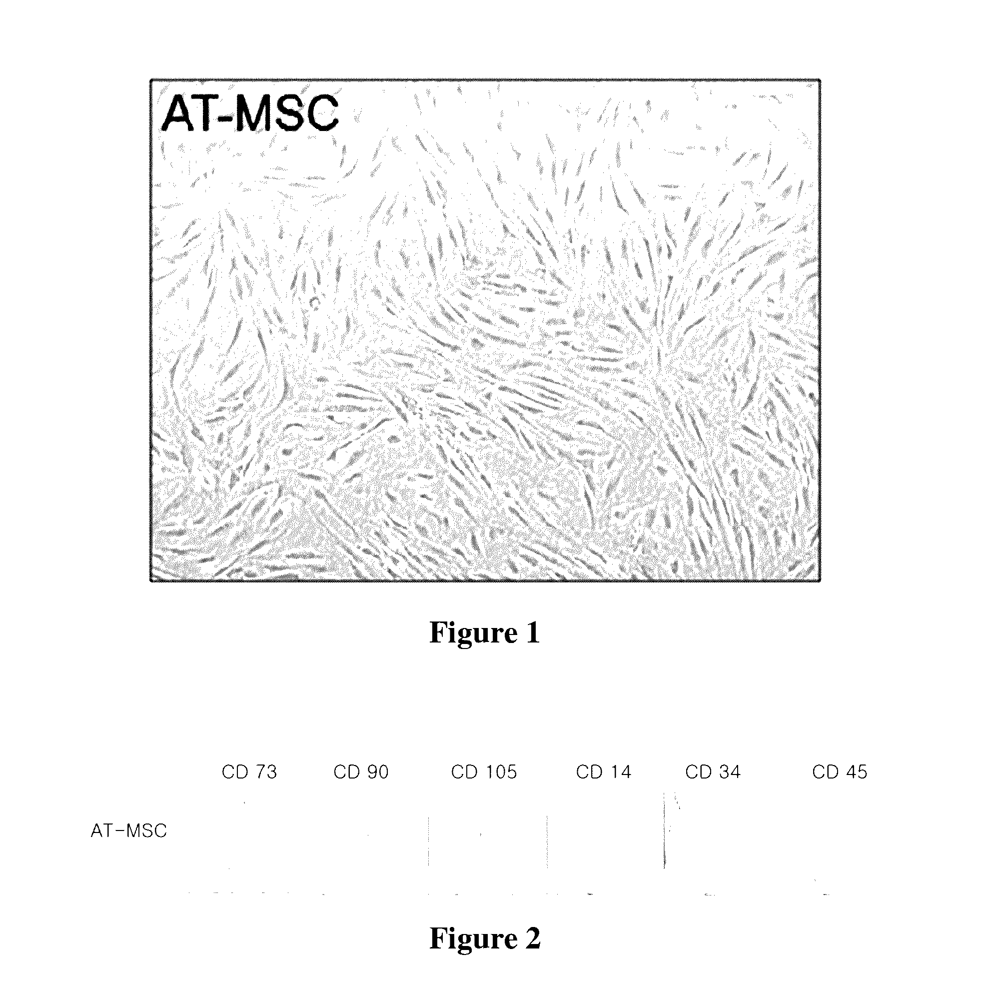 Method for differentiating stem cells into neurons